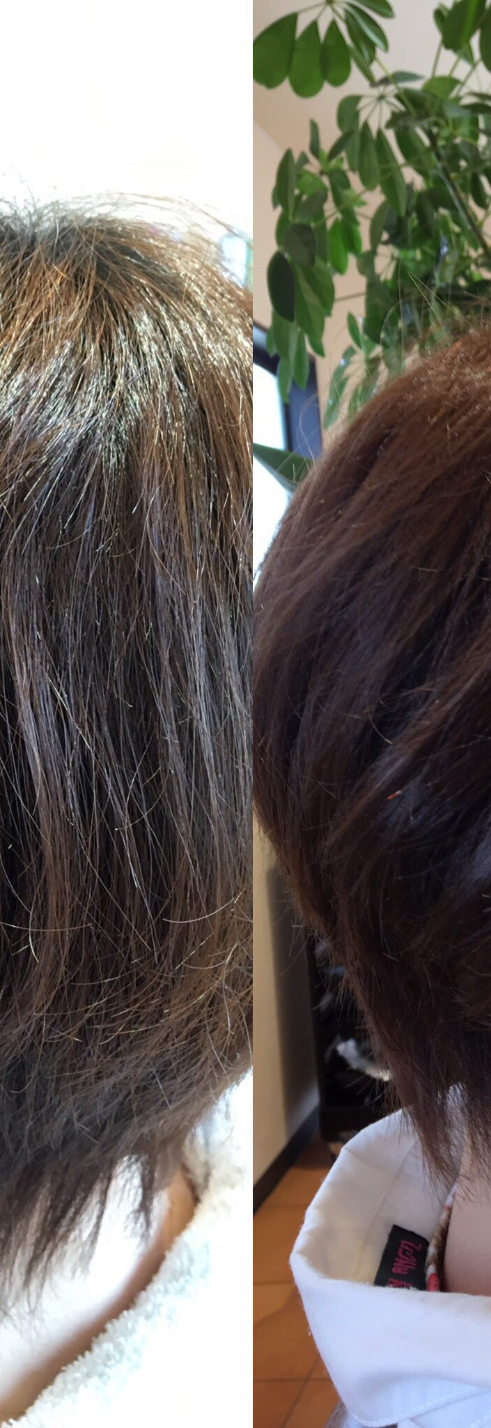 弱いくせ毛ならエンジェルリングカラーで収まっちゃう 福島県郡山市の 大人のヘアデザイン 髪 質改善 増毛ボリュームエクステ 特化美容室 プールブー オリジン ｐｏｕｒｖｏｕｓ Origin